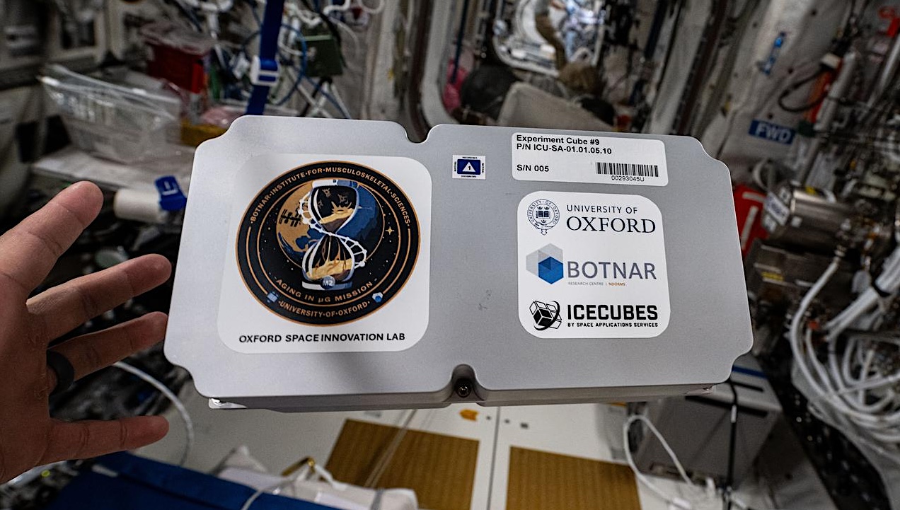 Offworld Biomedicine: Aging In Microgravity