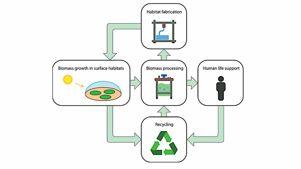 Offworld Biotechnology: Using Bioplastics For Extraterrestrial Habitats