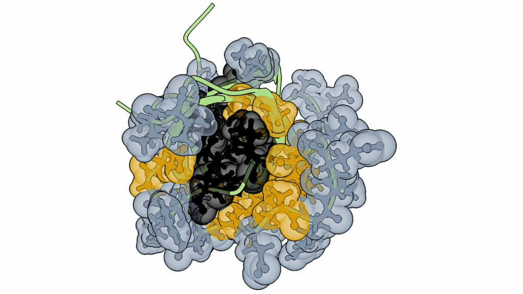 One Billion-year-old Rules Of Protein Stability Revealed