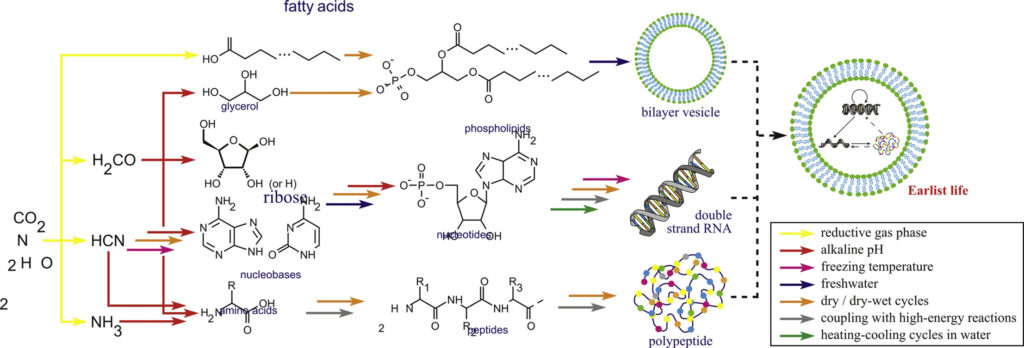 Origins Of The Building Blocks Of Life: A Review
