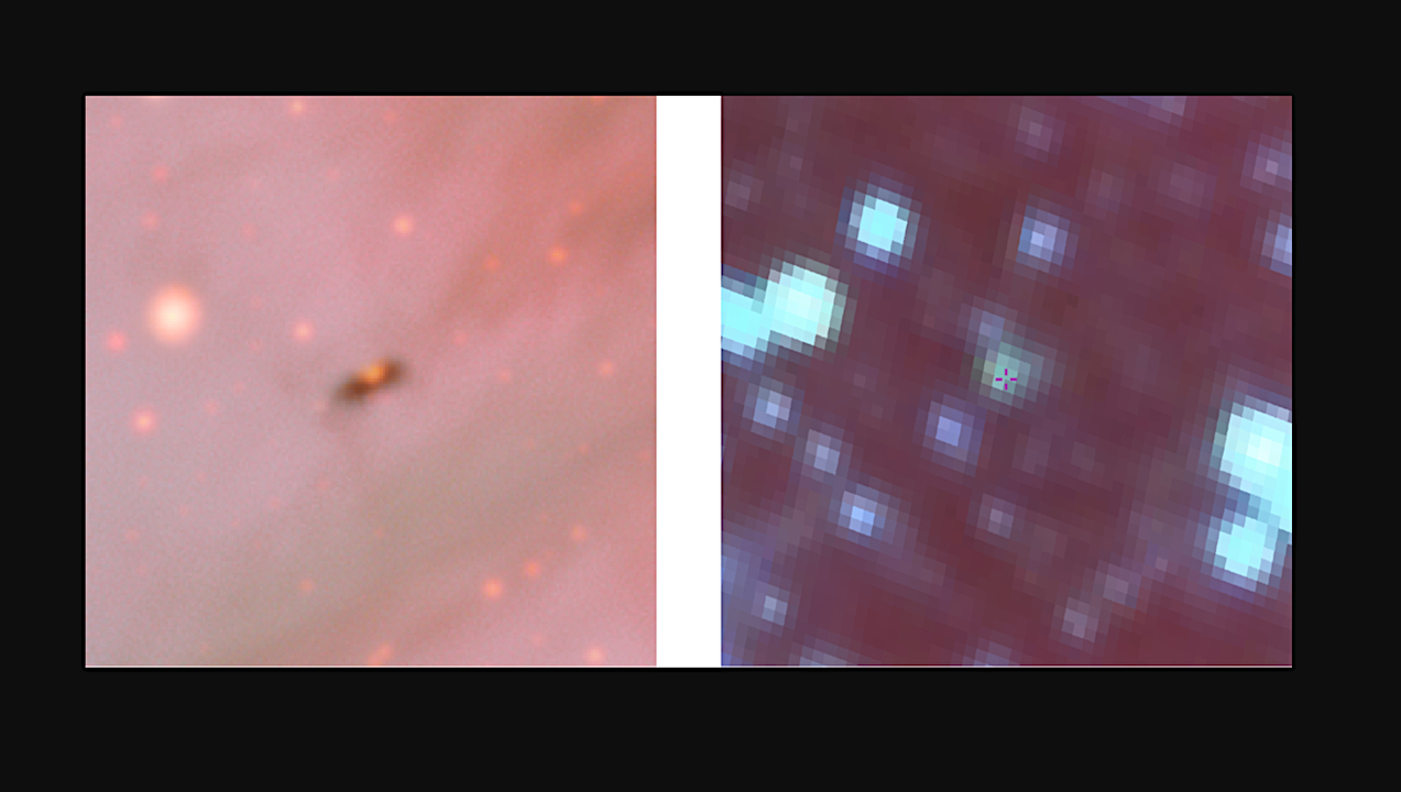 Possible Proplyd Disk Discovered In Rubin Observatory’s First-Look Image