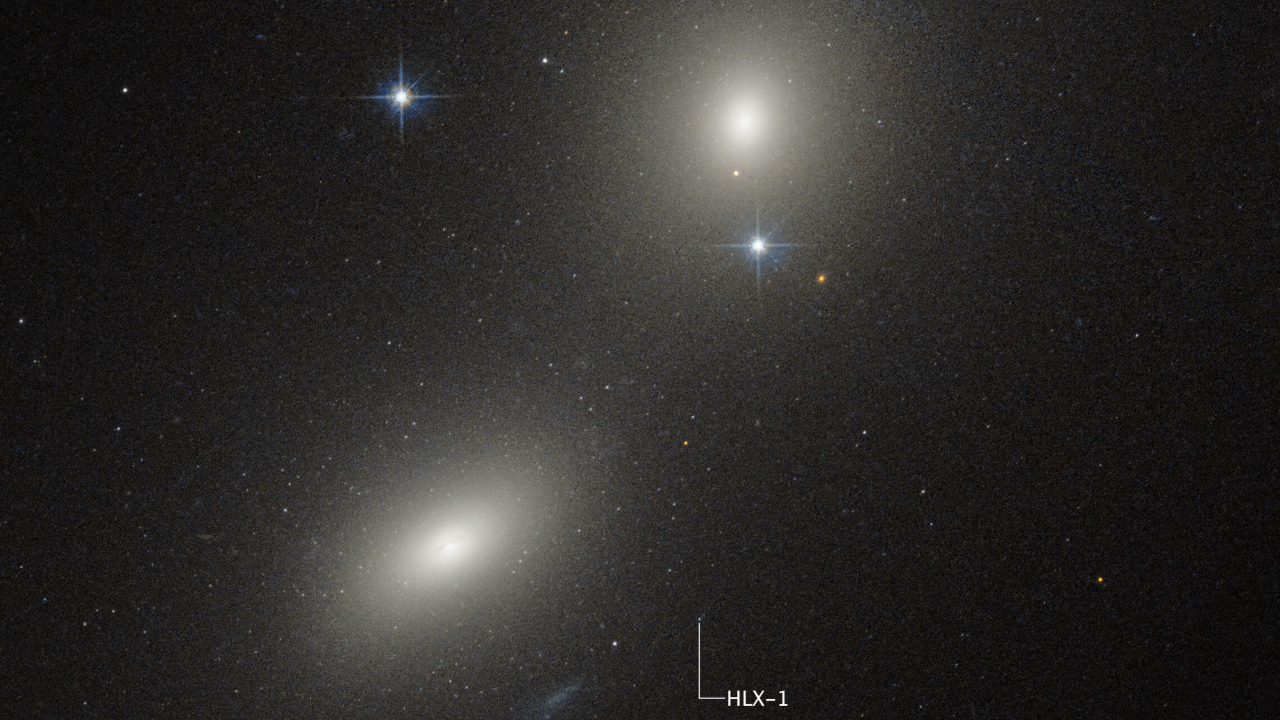 Rogue black hole found terrorizing unfortunate star in distant galaxy