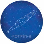 Rotifers In Space: Transcriptomic Response Of The Bdelloid Rotifer Adineta vaga Aboard The International Space Station