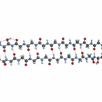 Space-filling Efficiency And Optical Properties Of Hemoglycin