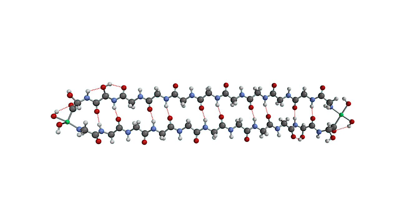 Space-filling Efficiency And Optical Properties Of Hemoglycin