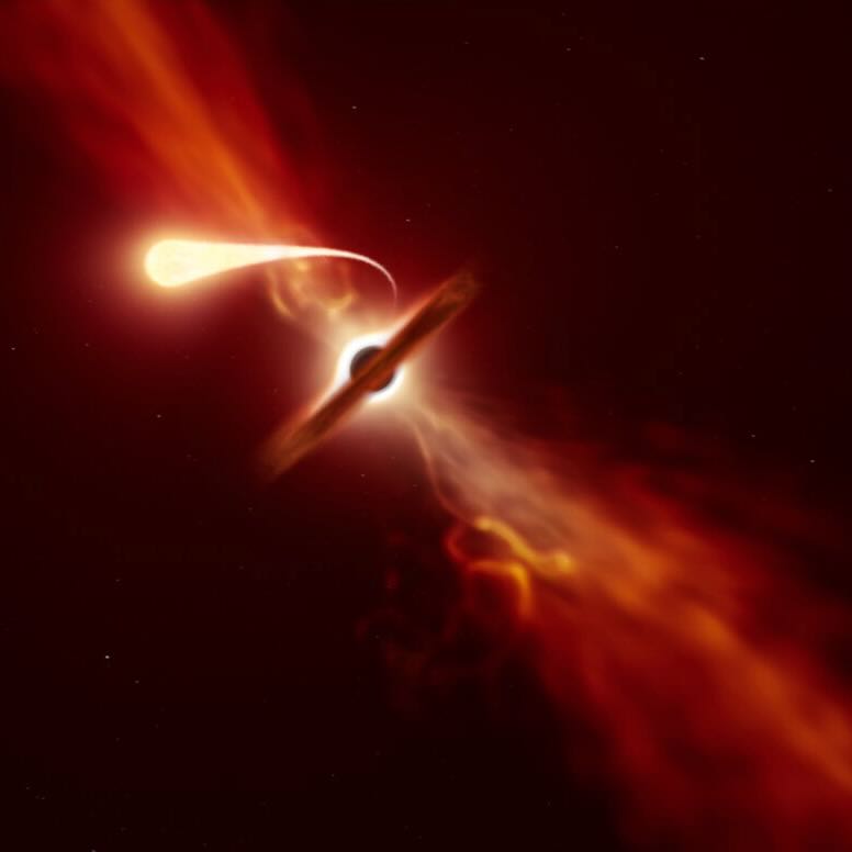 Star survives black hole, returns for another round