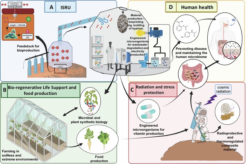 Synthetic Biology Could Support Future Outposts on the Moon and Mars