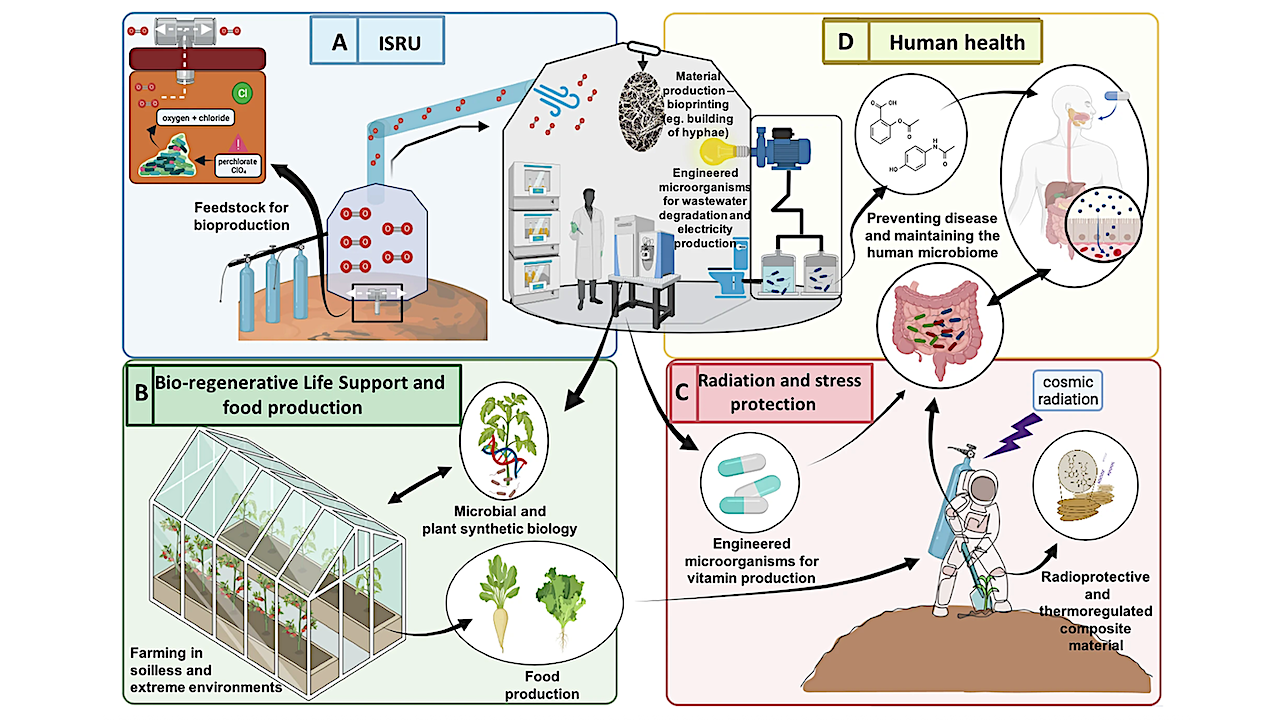 Synthetic Biology For Space Exploration