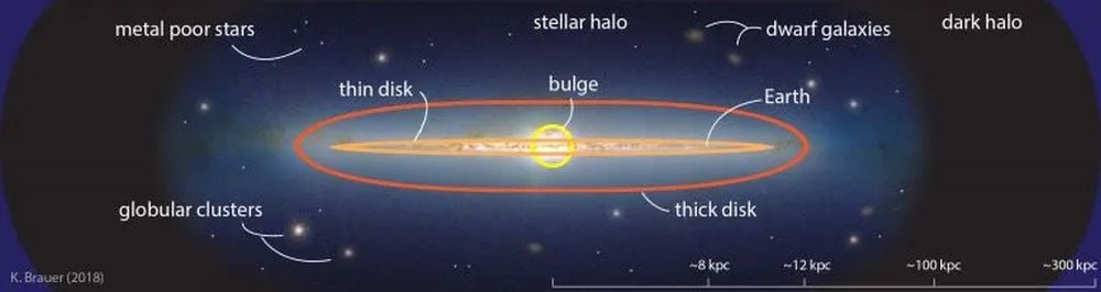 The JWST Shows Us How Galaxies Evolve