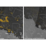 'The ocean is no longer too big to watch': How AI and satellite data are helping rid Earth's seas of illegal fishing