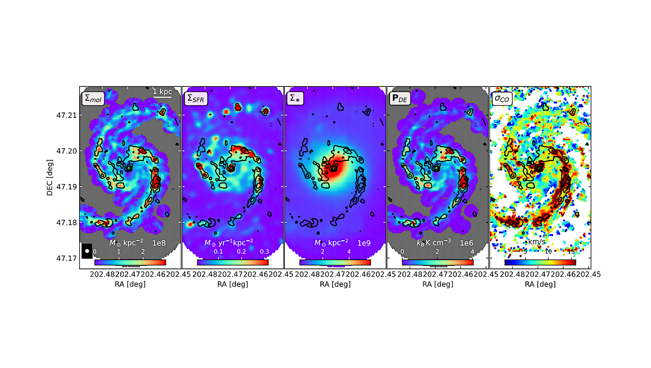 The SWAN View Of Dense Gas In the Whirlpool — A Cloud-scale Comparison Of N2H+, HCO+, HNC And HCN Emission In M51