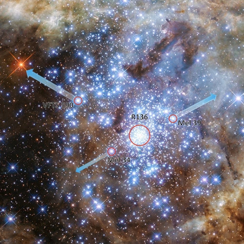 These Massive Runaway Stars Were Birthed in a Chaotic Cluster