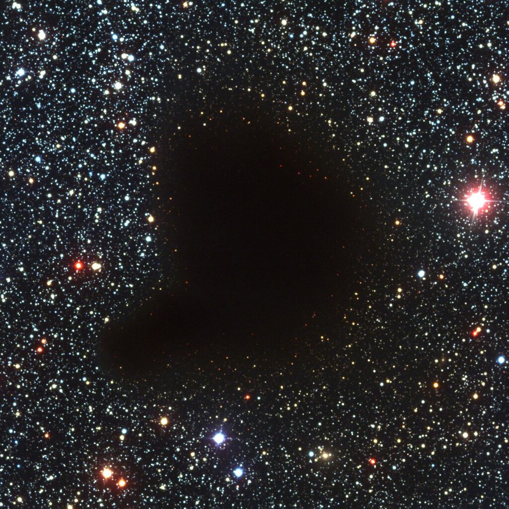 Tracking Molecules In the Interstellar Medium