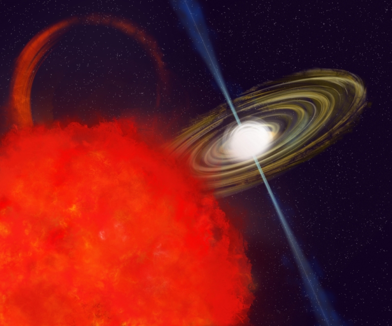 ‘Unicorn’ long-period radio transient baffles scientists
