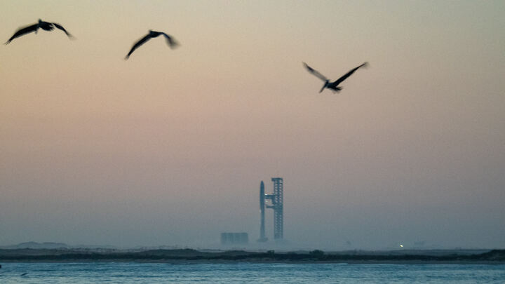 US Air Force cancels plans to build Starship landing pads on island bird sanctuary