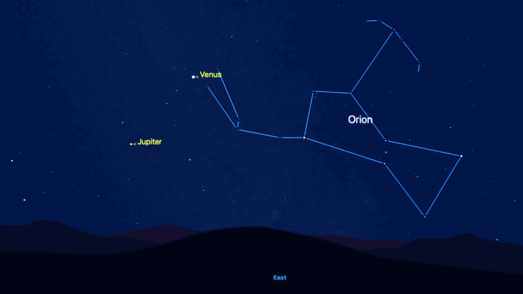 Venus reaches its highest point in the eastern predawn sky on Aug. 1: Here's how to see it
