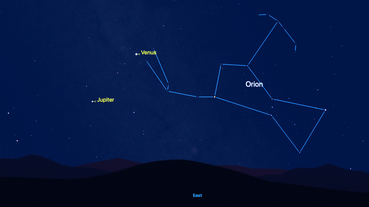Venus reaches its highest point in the eastern predawn sky on Aug. 1: Here's how to see it