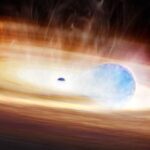A Distant Star Explodes While Swallowing Its Black Hole Companion