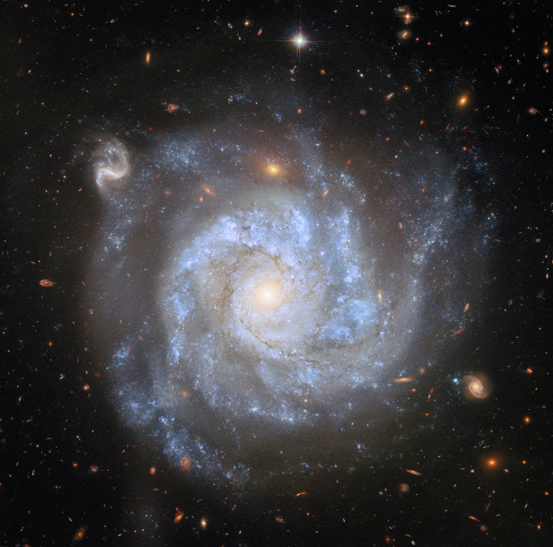 A supernova-rich spiral