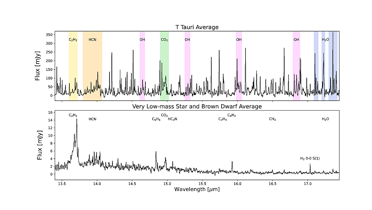 A Transition From H2O To C2H2 Dominated Spectra With Decreasing Stellar Luminosity