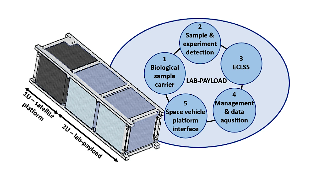 Autonomous, Miniature Research Station (lab-payload) For The Nanosatellite Biological Mission: LabSat
