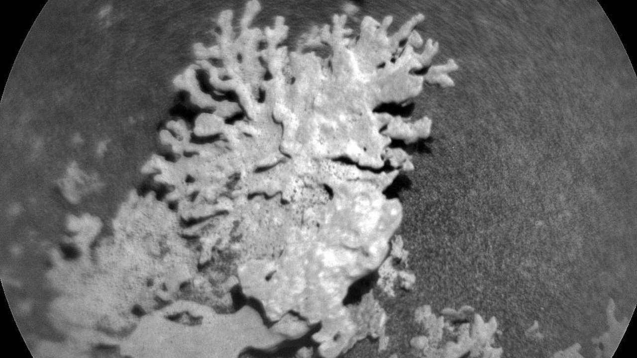 Curiosity rover celebrates 13 years on Mars with well-deserved naps and Red Planet 'coral'