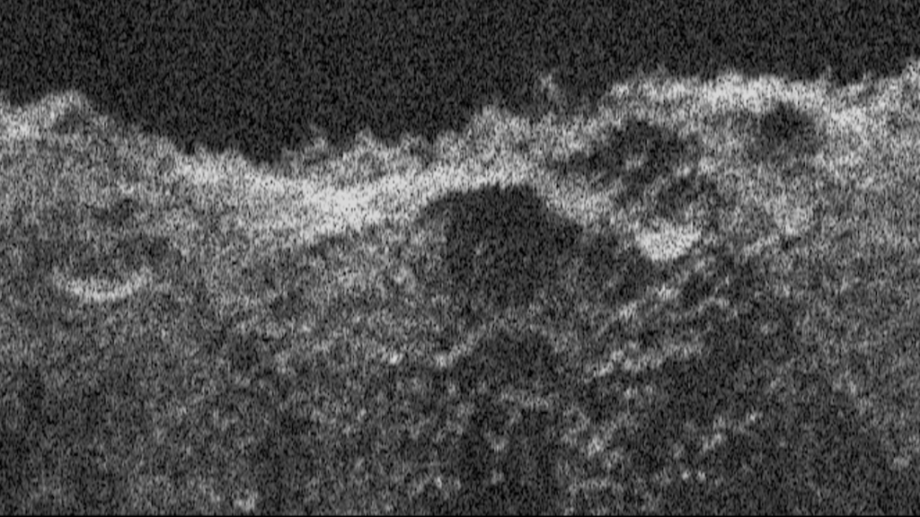 Europa Clipper Radar Instrument Proves Itself at Mars