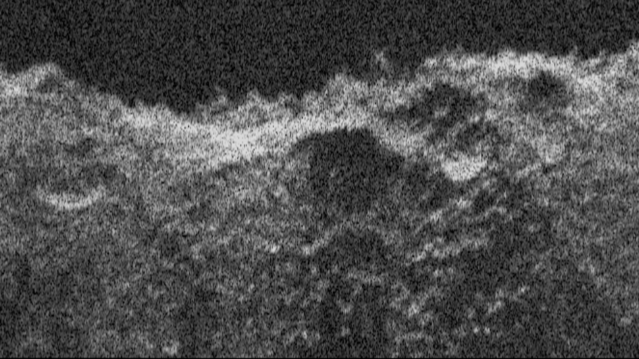 Europa Clipper Radar Instrument Proves Itself at Mars