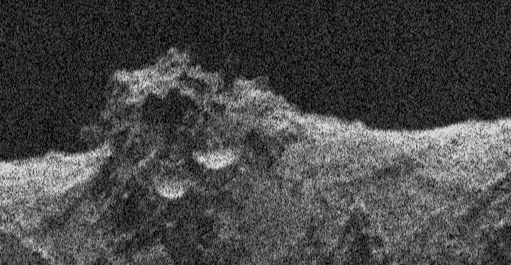 Europa Clipper successfully tests radar during Mars flyby