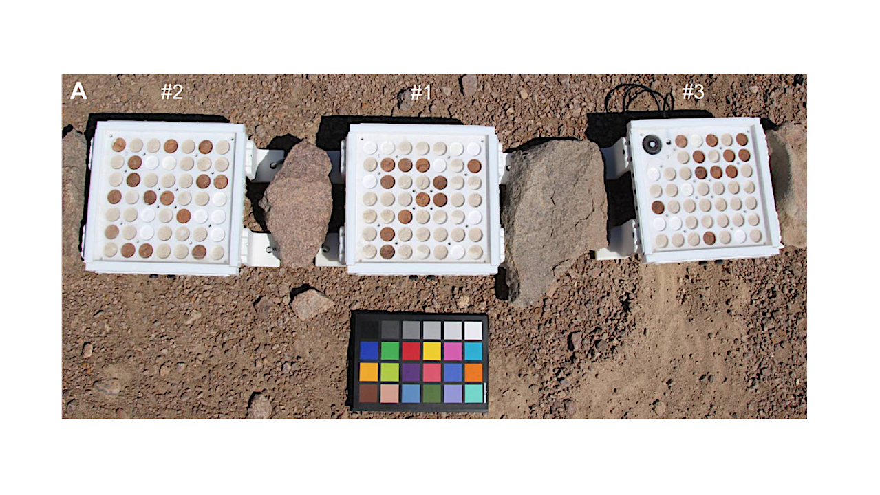 Exploring Organic Compound Preservation Through Long-term In Situ Experiments In The Atacama Desert And The Relevance For Mars