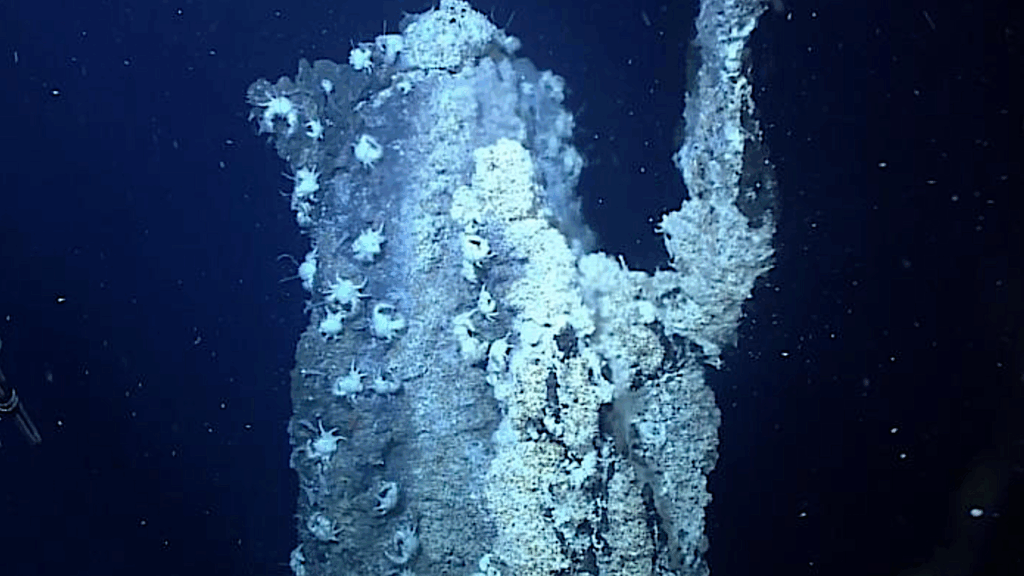 Extremophile Adaptation: How A Deep Sea Worm Survives High Arsenic And Sulfide Levels