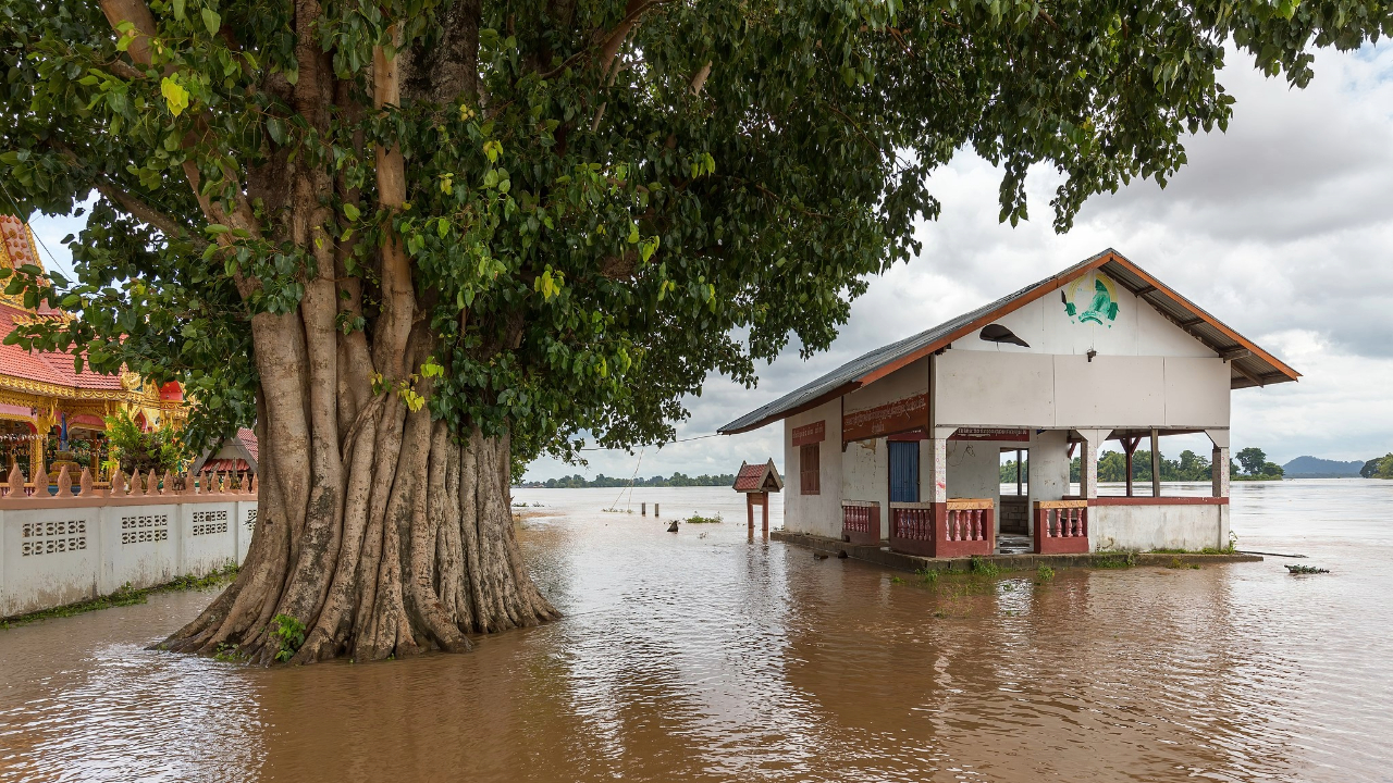 How the nature of environmental law is changing in defense of the planet and the climate