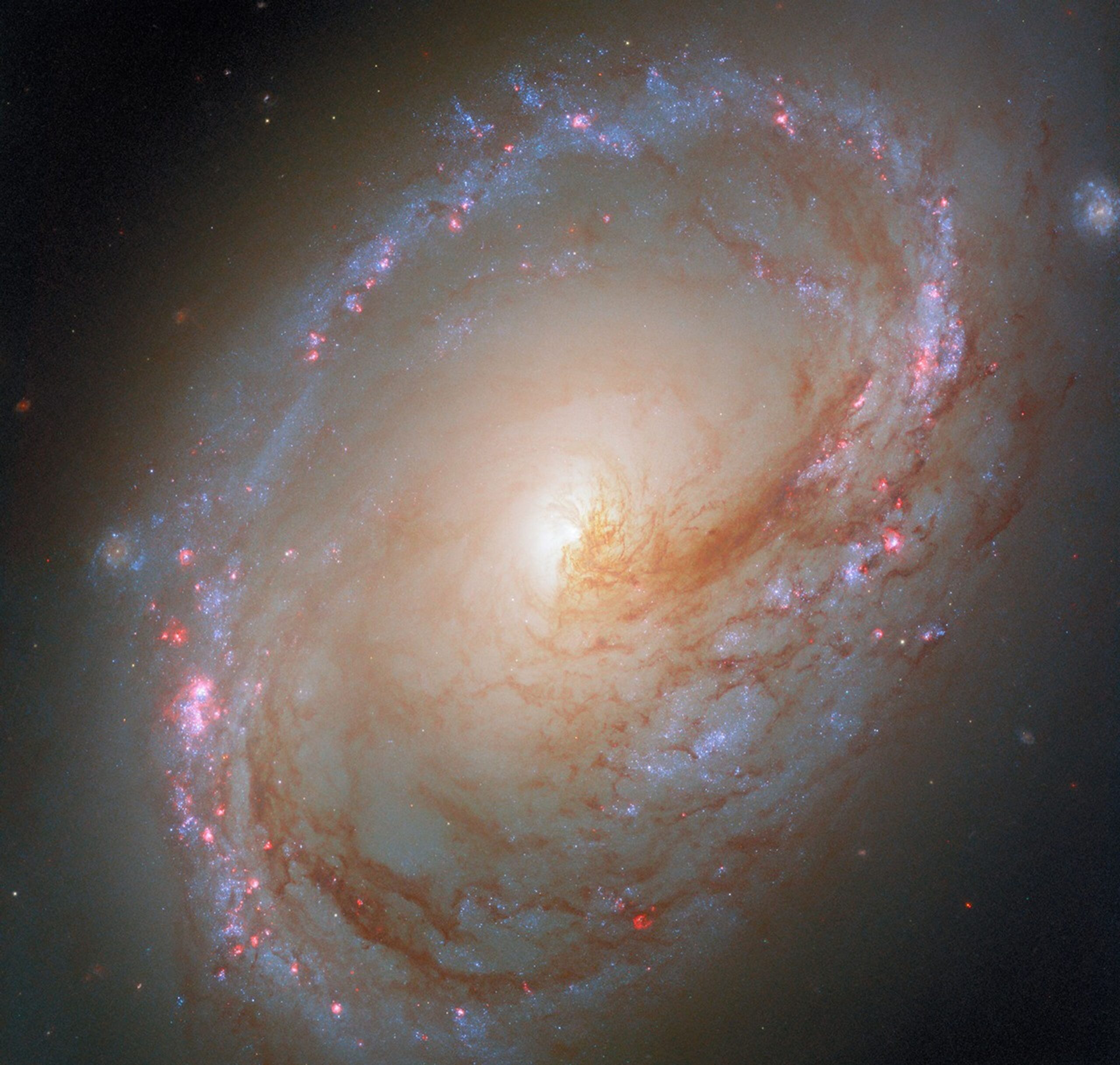 Hubble Homes in on Galaxy’s Star Formation