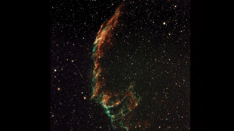 I tried to image the Veil Nebula but accidentally got an 'Alien' Xenomorph (photo)