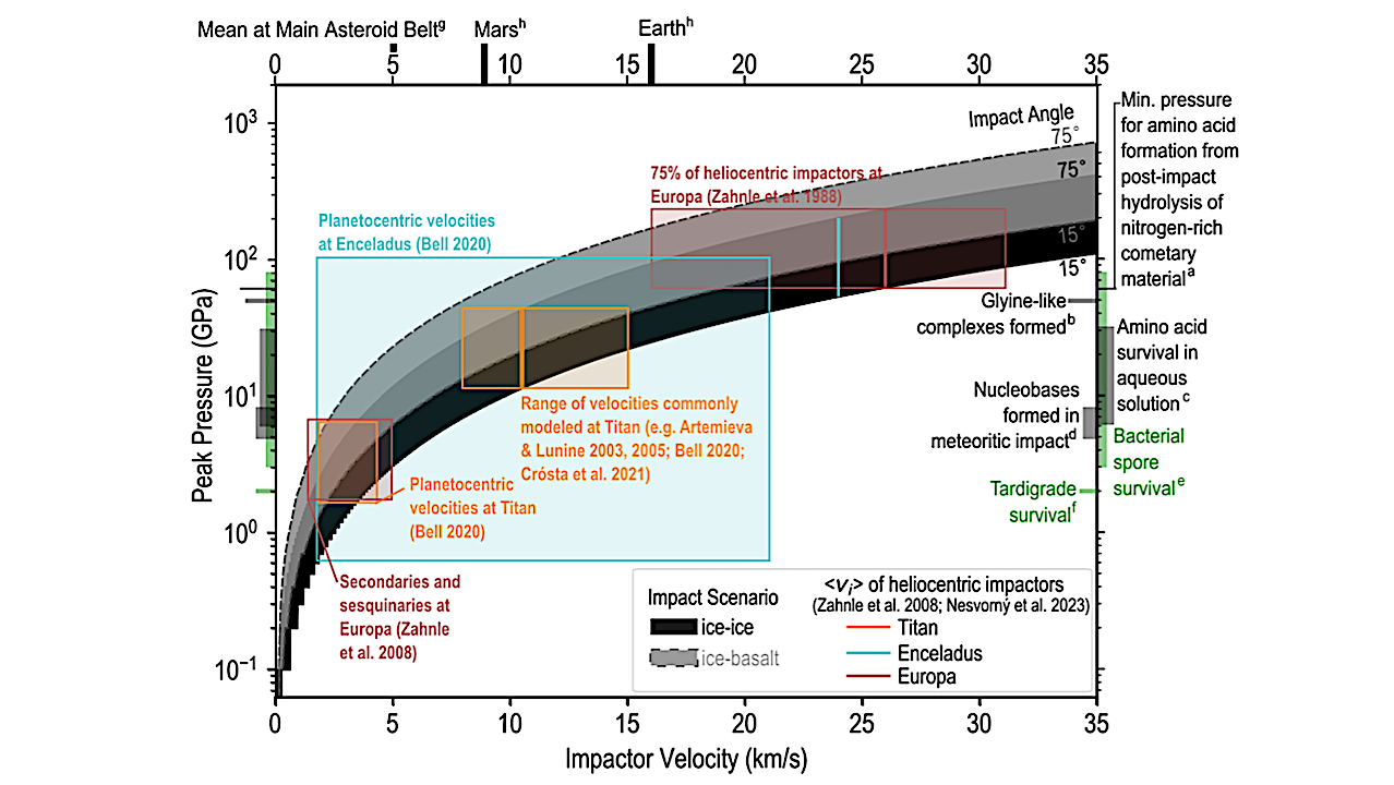 Impacts on Ocean Worlds Are Sufficiently Frequent and Energetic to Be of Astrobiological Importance