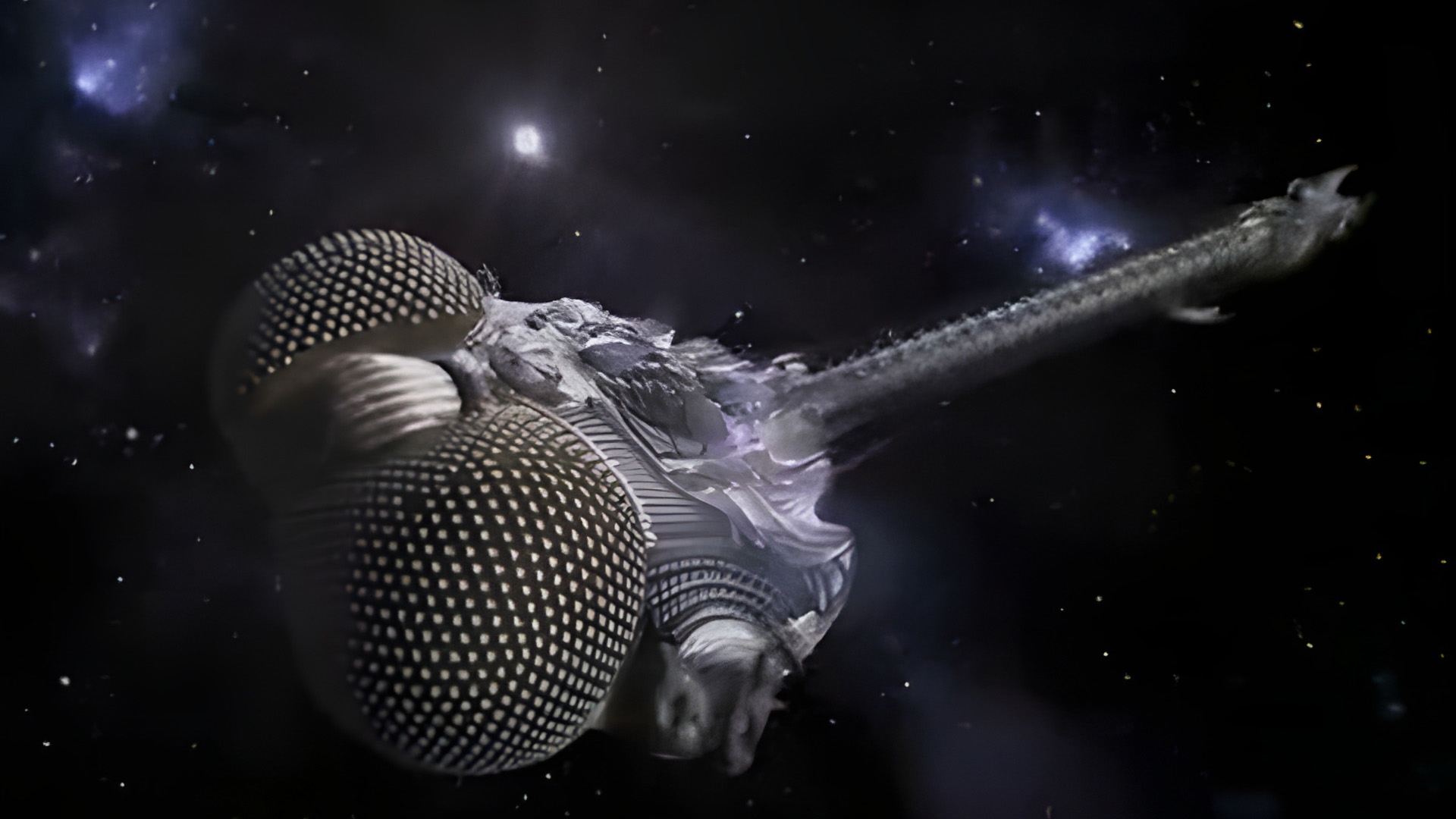 'Lexx' appeal: A deeply underrated sci-fi classic that was equal parts Farscape, Star Wars, and Red Dwarf