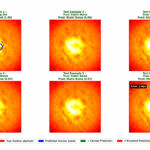 Machine Learning Revolution For Exoplanet Direct Imaging Detection: Transformer Architectures
