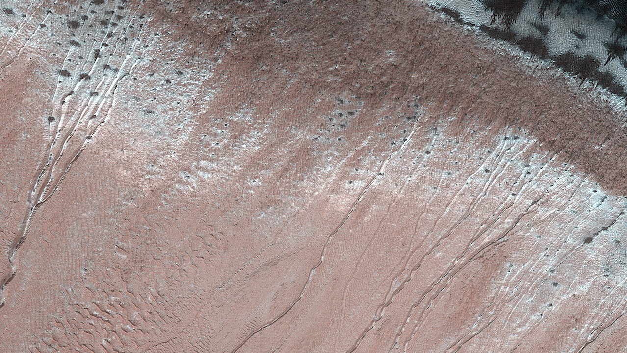 Monitoring Active Gullies On Mars From Orbit