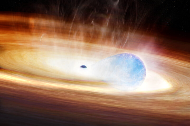 New type of supernova, as a black hole triggers a star explosion