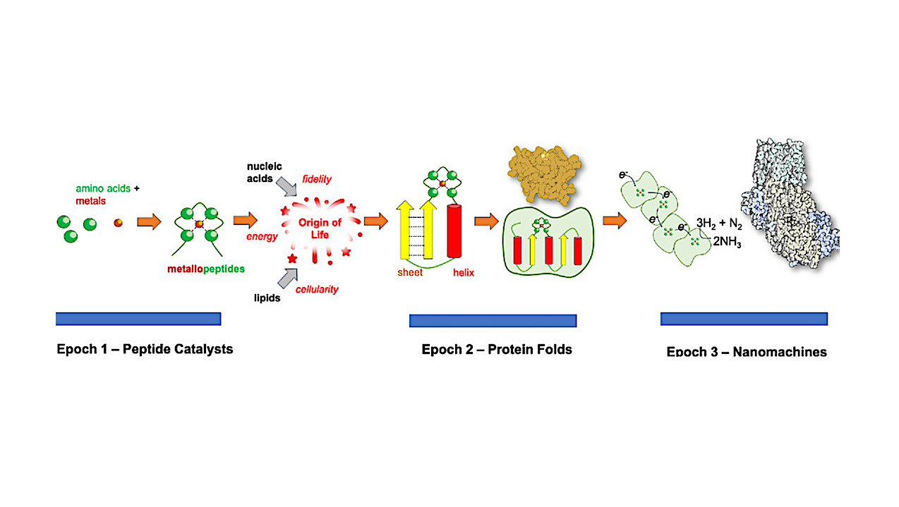 On The Emergence Of Metabolism: The Evolution Of Proteins That Powered Life