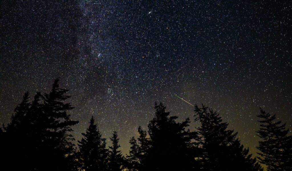 Perseids Meteor Shower