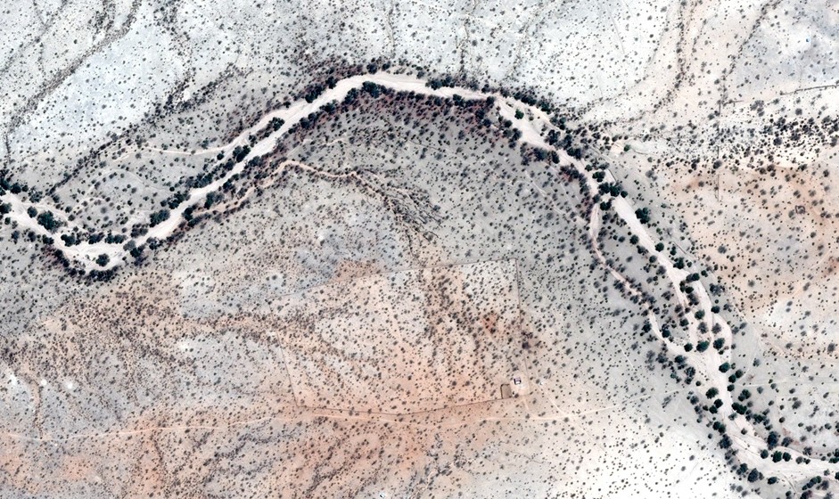 Satellites are helping protect critically endangered desert elephants. Here's how