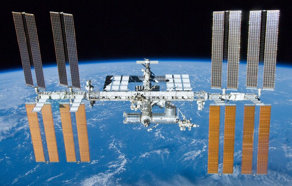 Stem Cells Preserved in Space Have Produced Healthy "Space Mice"