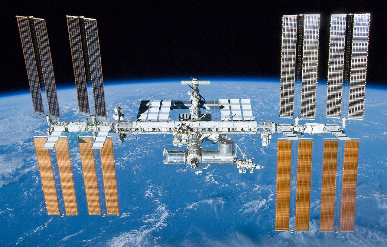 Stem Cells Preserved in Space Have Produced Healthy "Space Mice"