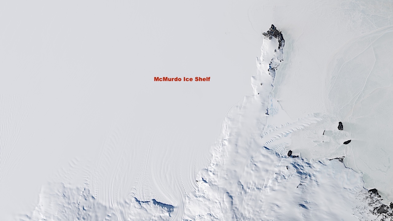 Temperature-Sensitive Lipids Reveal Intraspecific Diversity in Bacteria Isolated from an Ancient Antarctic Microbial Mat