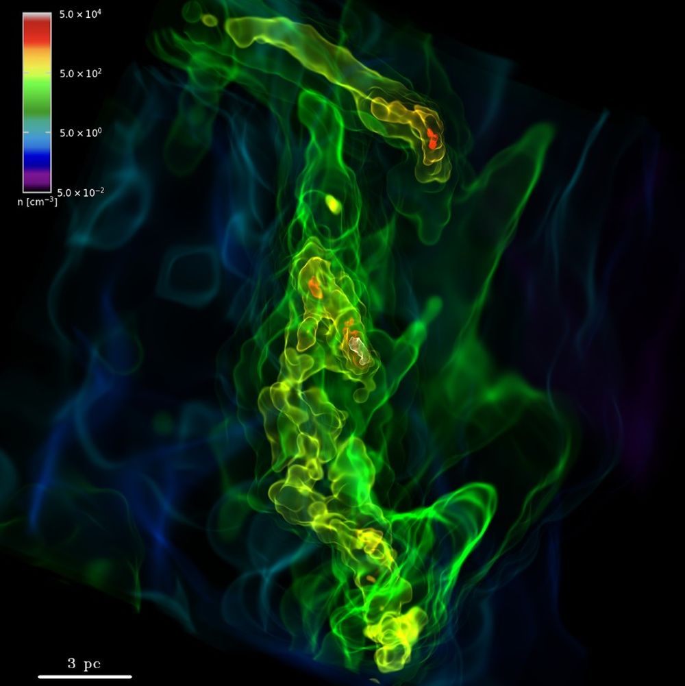 The Universe's First Stars Unveiled in Turbulent Simulations