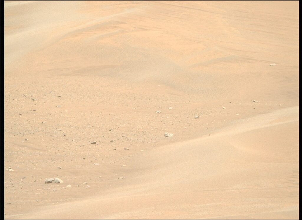 To See the World in a Grain of Sand: Investigating Megaripples at ‘Kerrlaguna’