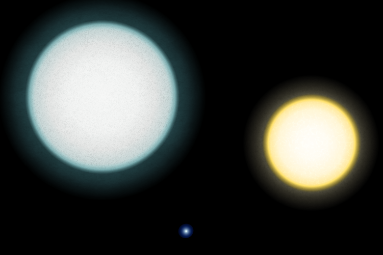 White Dwarf Stars Could Create Surprisingly Common Long Lived Habitable Zones