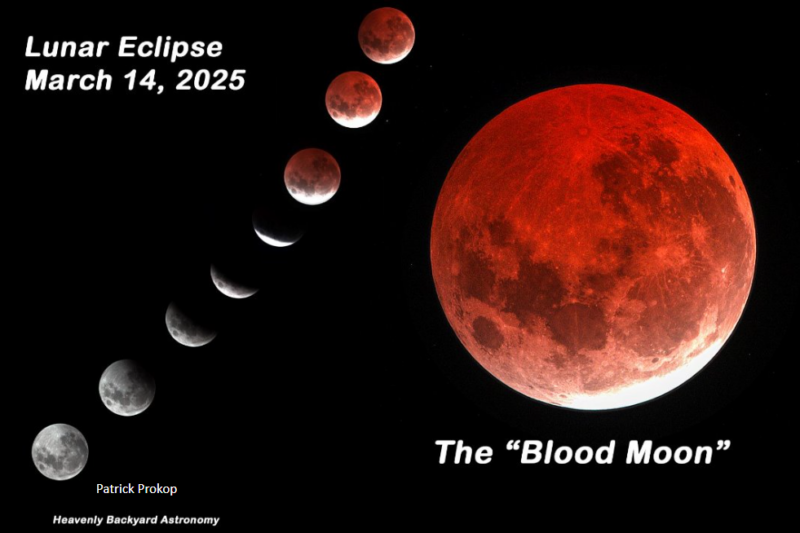 A total lunar eclipse looks red. Why?