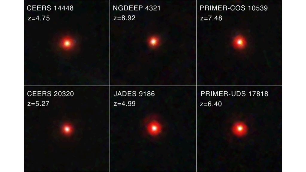 Are 'little red dots' seen by the James Webb Space Telescope actually elusive 'black hole stars'?
